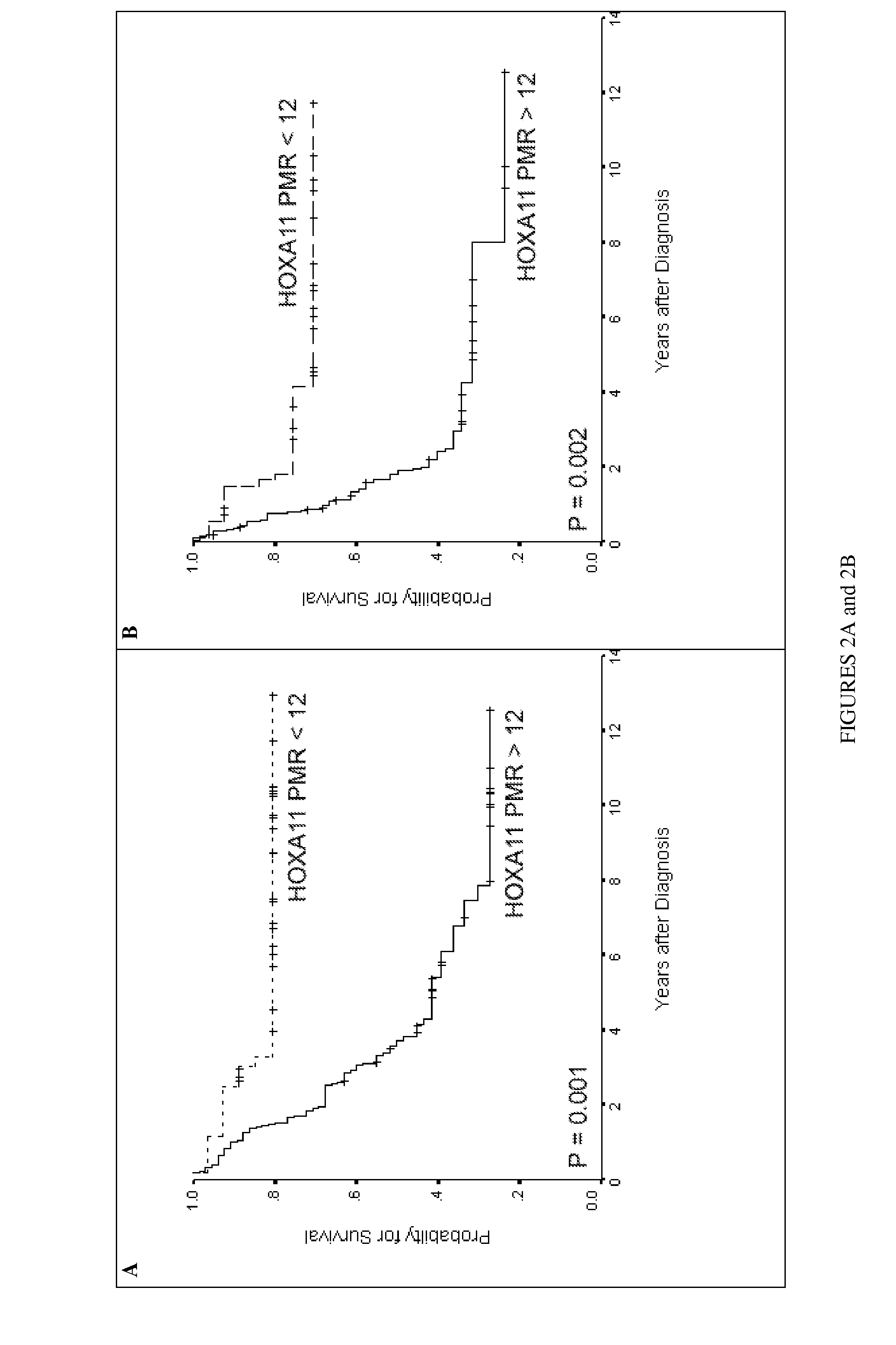 DNA methylation markers based on epigenetic stem cell signatures in cancer