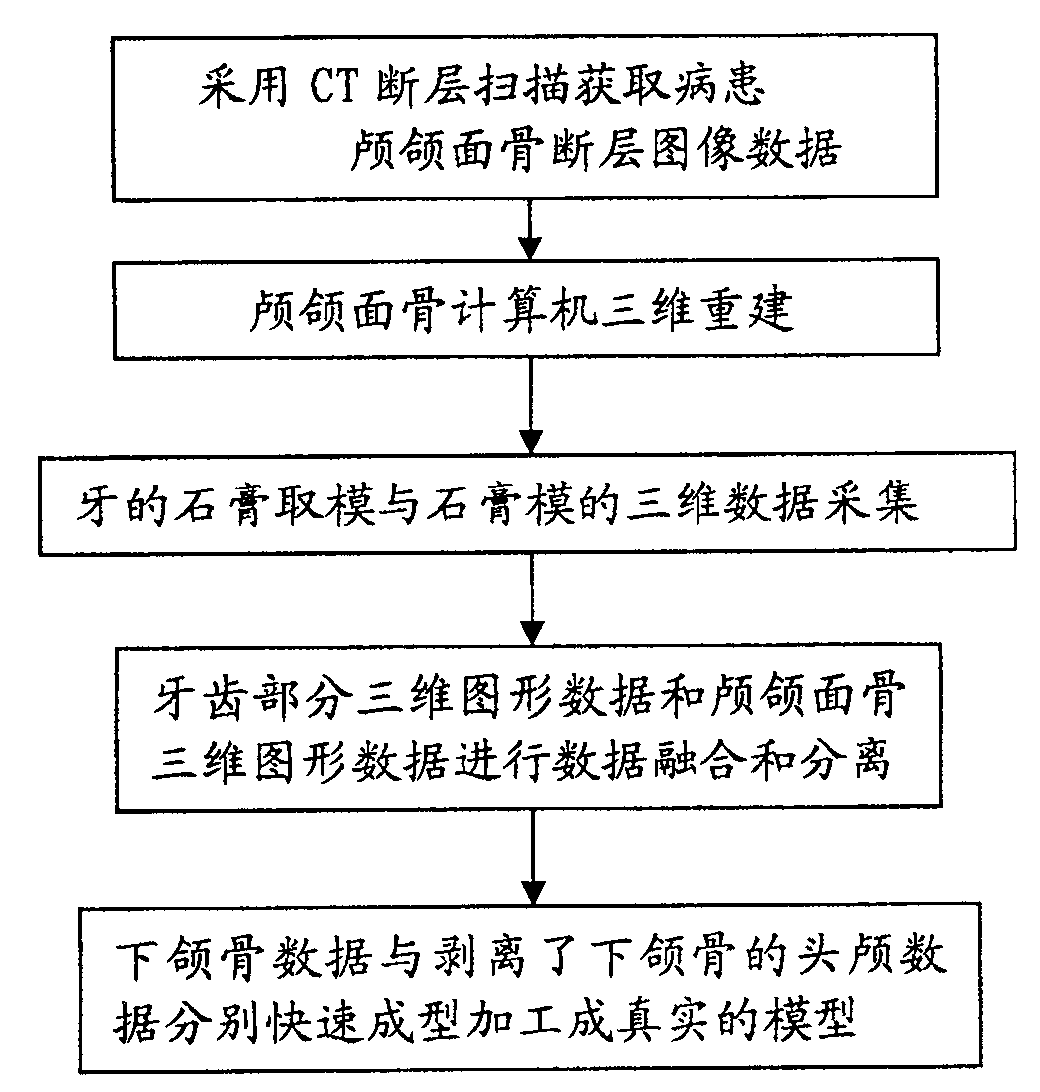 Manufacturing method of fine personalized skull model capable of describing teeth occluding relation