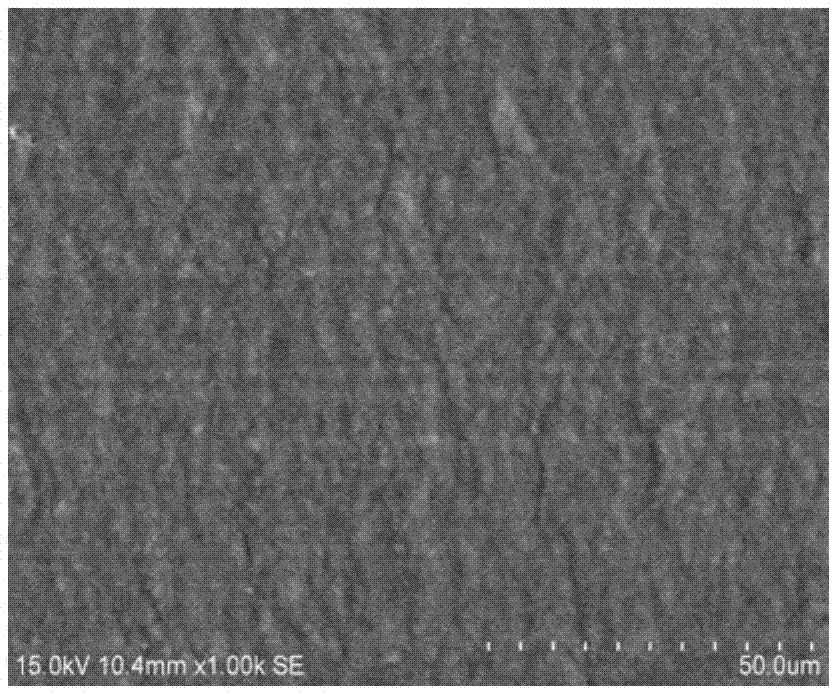 Lithium ion battery electrolyte and lithium ion battery