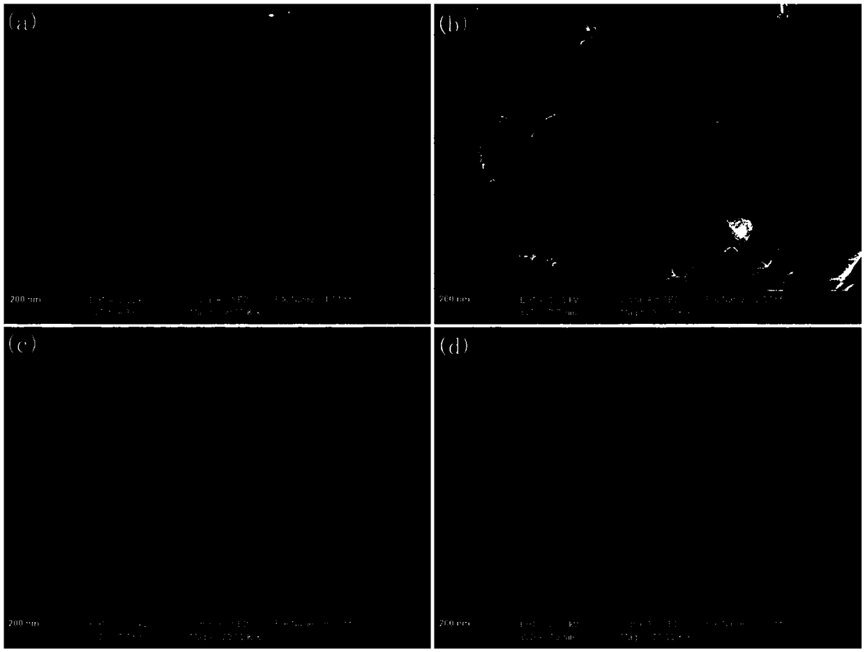 A phosphorus doped porous carbon-oxygen reduction catalyst, preparation method and application thereof