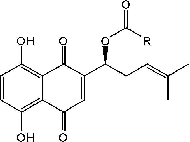 Shikonin compound and purpose thereof in preparing anticomplement medicines