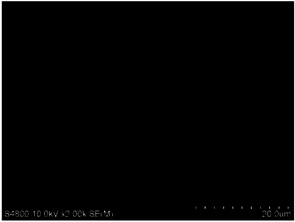 Method for preparing lithium-sulfur battery positive plate by means of ion beam sputtering technology