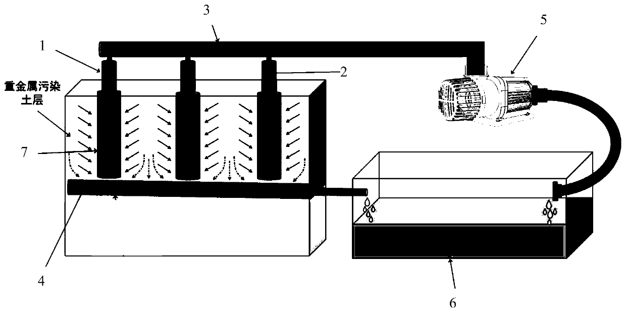 Engineering-agronomic in-situ remediation method and device for heavy metal-contaminated soil