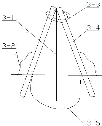 Enclosure system for co-growing of organic rice and soft-shelled turtles