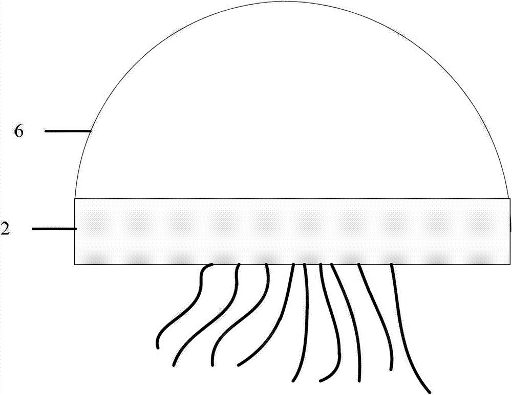 Diagnosis device and diagnosis method for corrosion of earth screen of large-size transformer substation