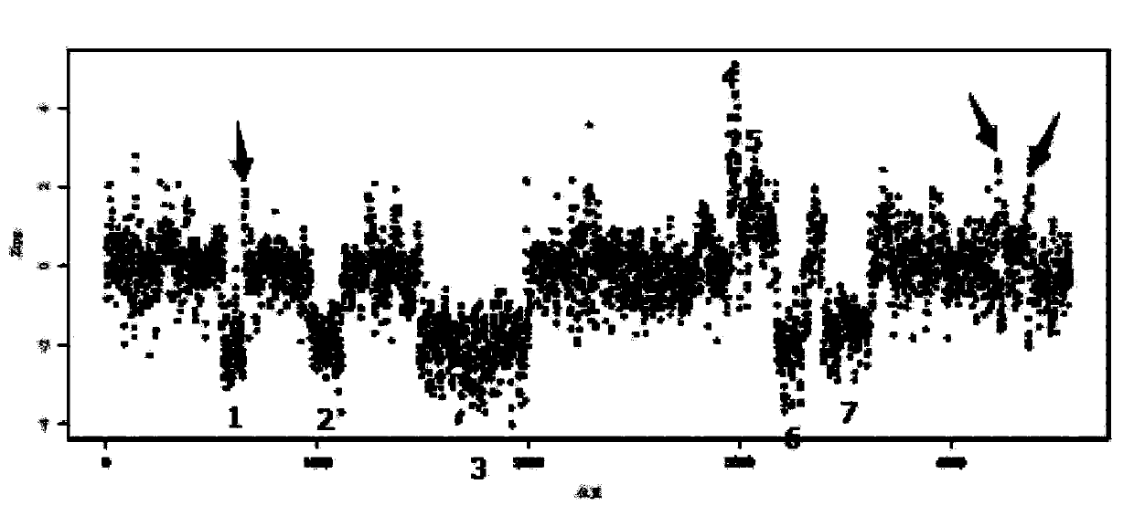 Copy number variation detection apparatus