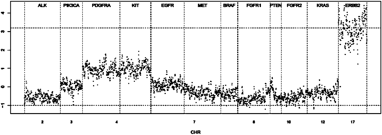 Copy number variation detection apparatus