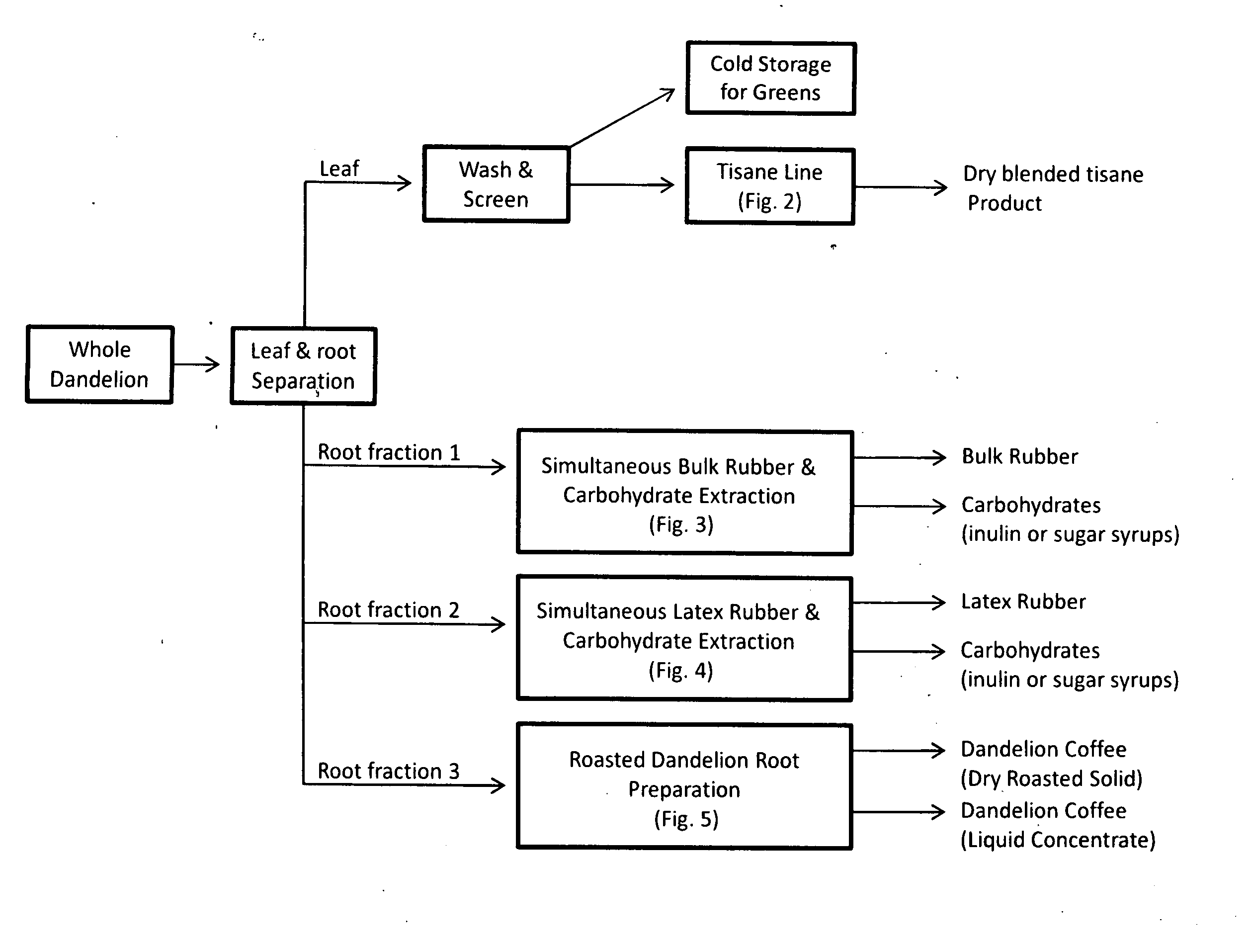 Dandelion processes, compositions and products