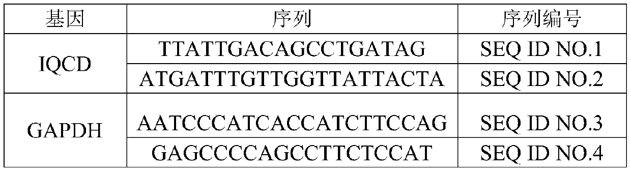 Target gene for diagnosis of oral squamous cell carcinoma and application thereof