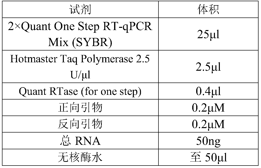 Target gene for diagnosis of oral squamous cell carcinoma and application thereof