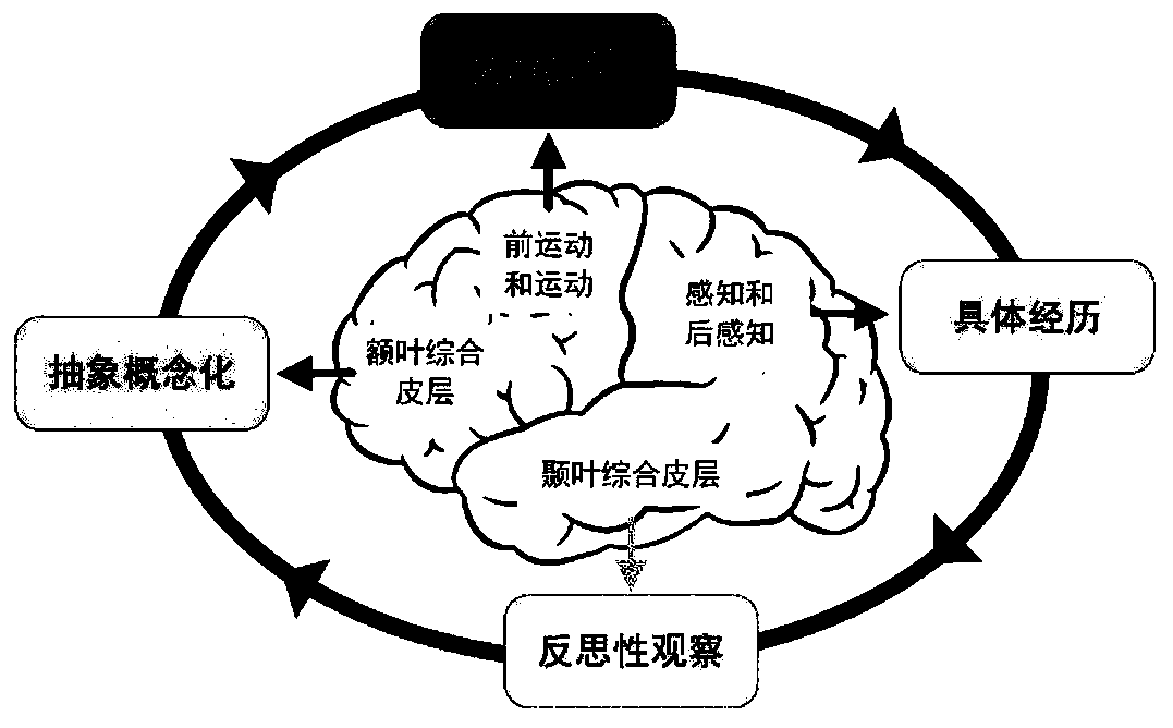 Robot self-organizing-contrastive cognitive development method and system with lifelong learning ability