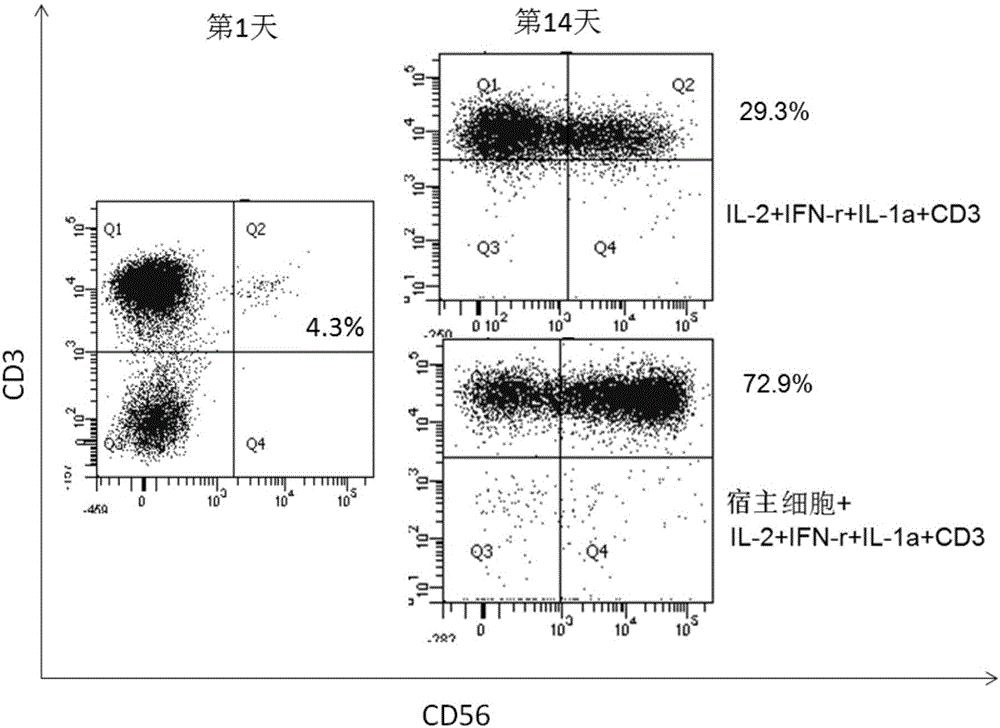 Method for amplifying and activating CIK lymphocyte