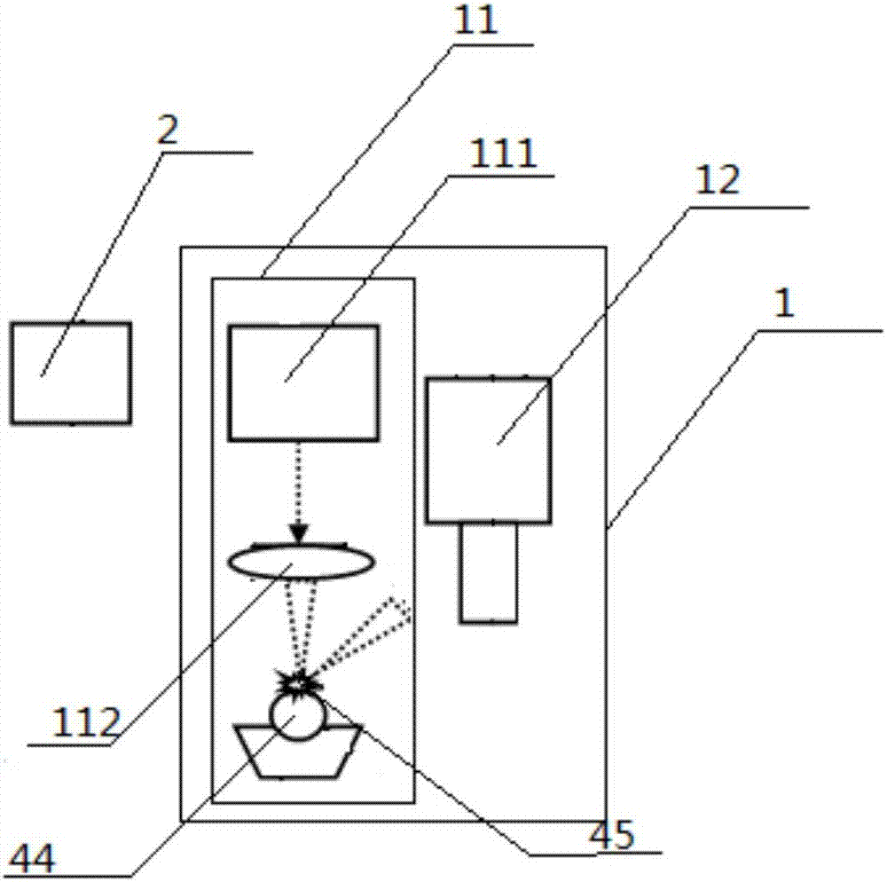 On-line detection device and method for heavy metals in fruits