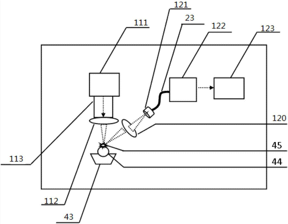 On-line detection device and method for heavy metals in fruits