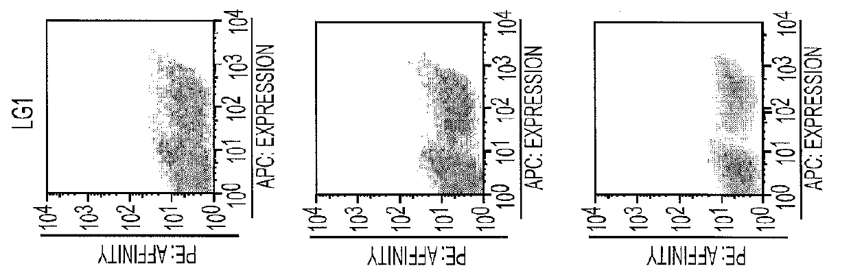 Human Antibody Fragments Against Chondroitin Sulfate Proteoglycan 4 (CSPG4)