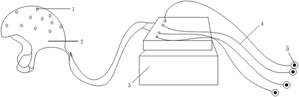 Method for analyzing electroencephalogram and electromyographic coupling among multiple time-frequency scales on basis of wavelet-transfer entropy