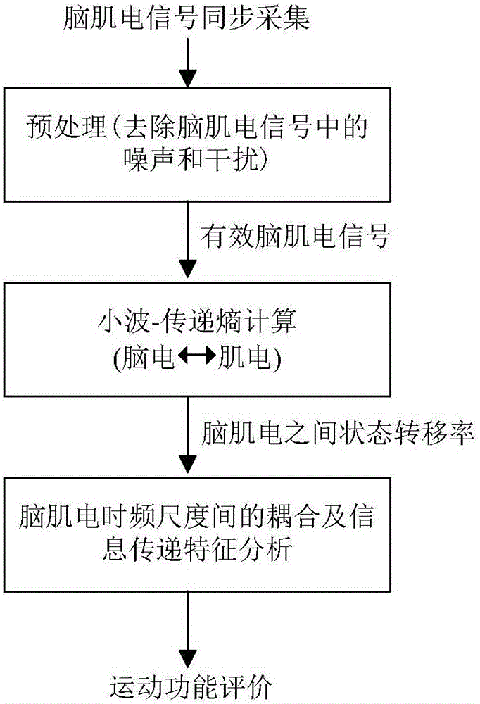 Method for analyzing electroencephalogram and electromyographic coupling among multiple time-frequency scales on basis of wavelet-transfer entropy