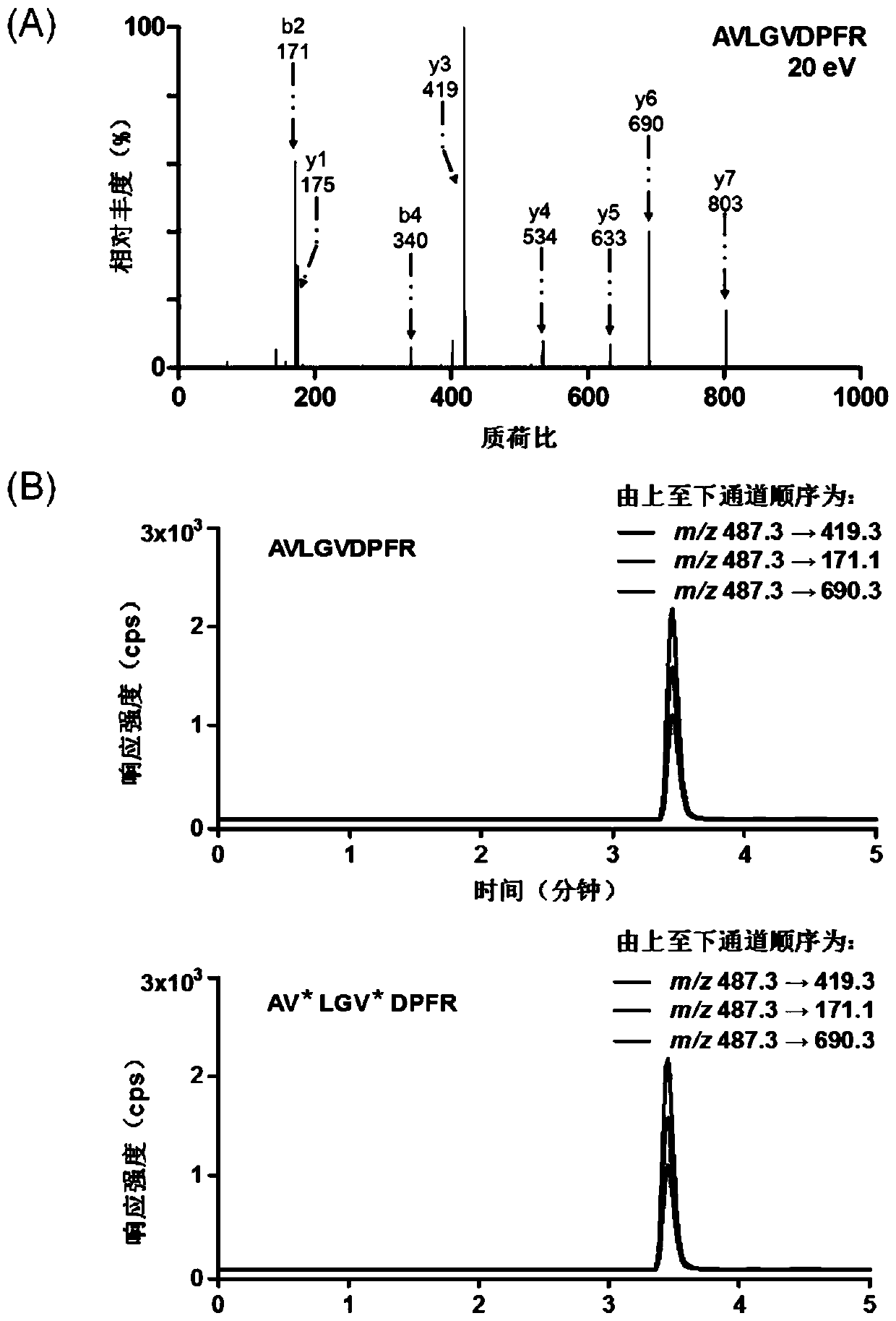 Nucleic acid polypeptide complex probe and preparation method and application thereof