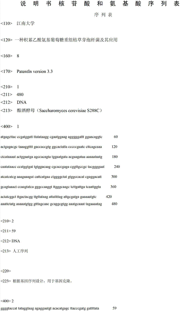 Acetyl-glucosamine accumulating recombinant bacillus subtilis and application thereof