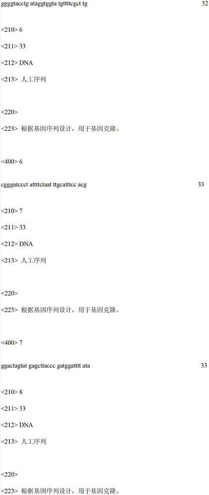 Acetyl-glucosamine accumulating recombinant bacillus subtilis and application thereof