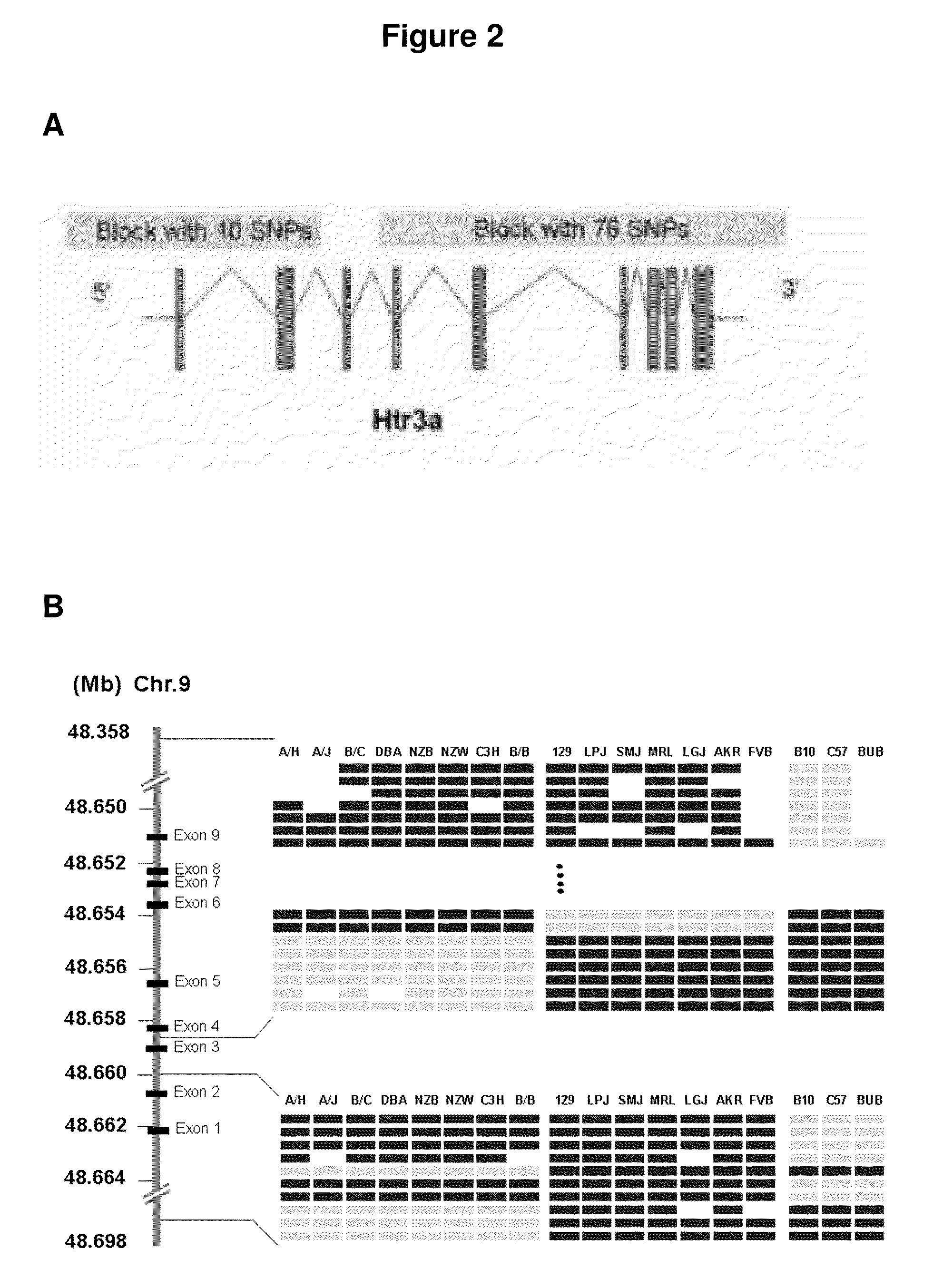 Methods and Compositions for Treating or Preventing Narcotic Withdrawal Symptoms