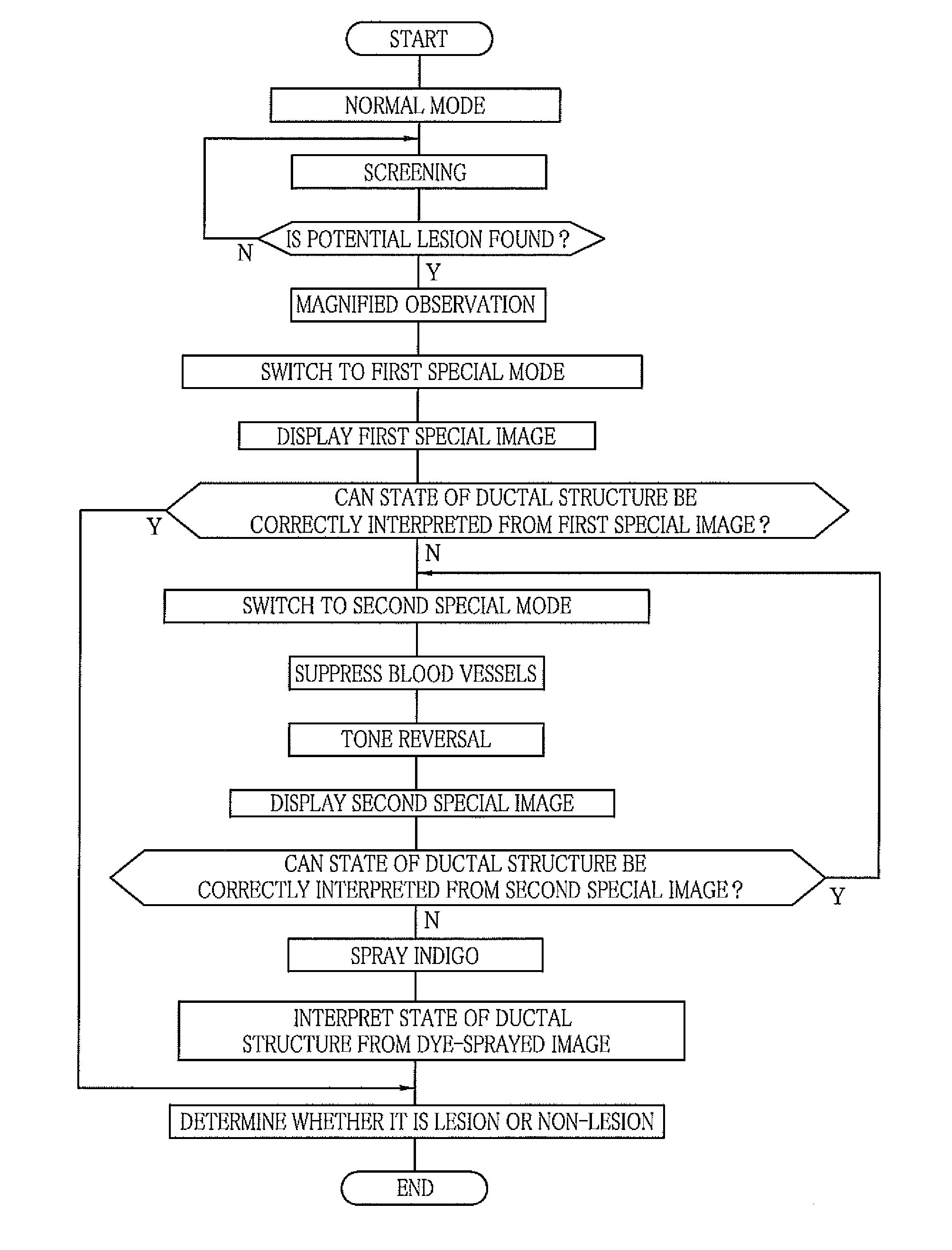 Image processing device and method for operating endoscope system