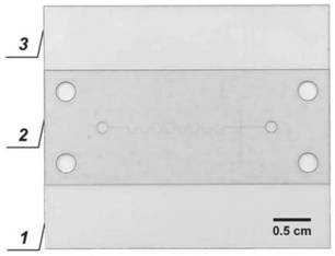 Microfluidic impedance cytometer and preparation method thereof