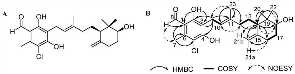 Ascochlorin compound and application thereof in preparation of antitumor drugs or dihydroorotate dehydrogenase inhibitor drugs