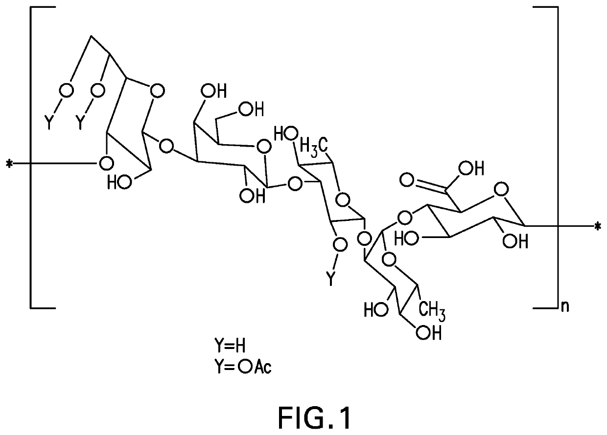 Pneumococcal polysaccharides and their use in immunogenic polysaccharide-carrier protein conjugates