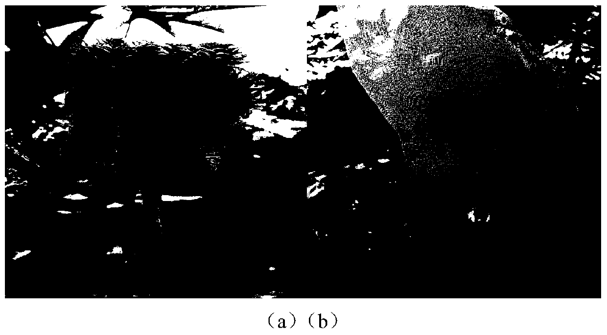 Bagging method for achieving high-quality and high-efficiency harvesting of wild castor seeds