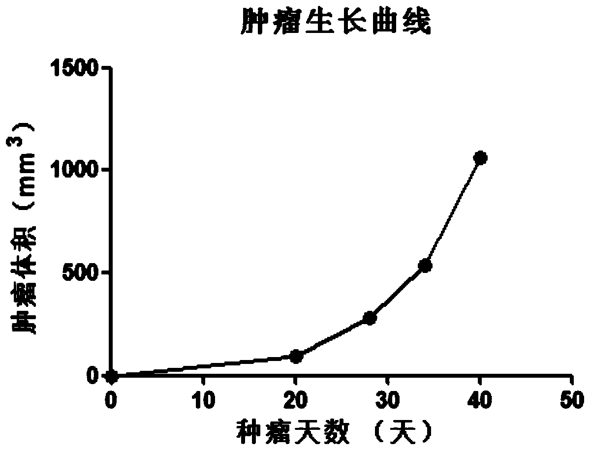 A kind of inoculum composition and its method for constructing xenograft tumor animal model derived from malignant pleural effusion