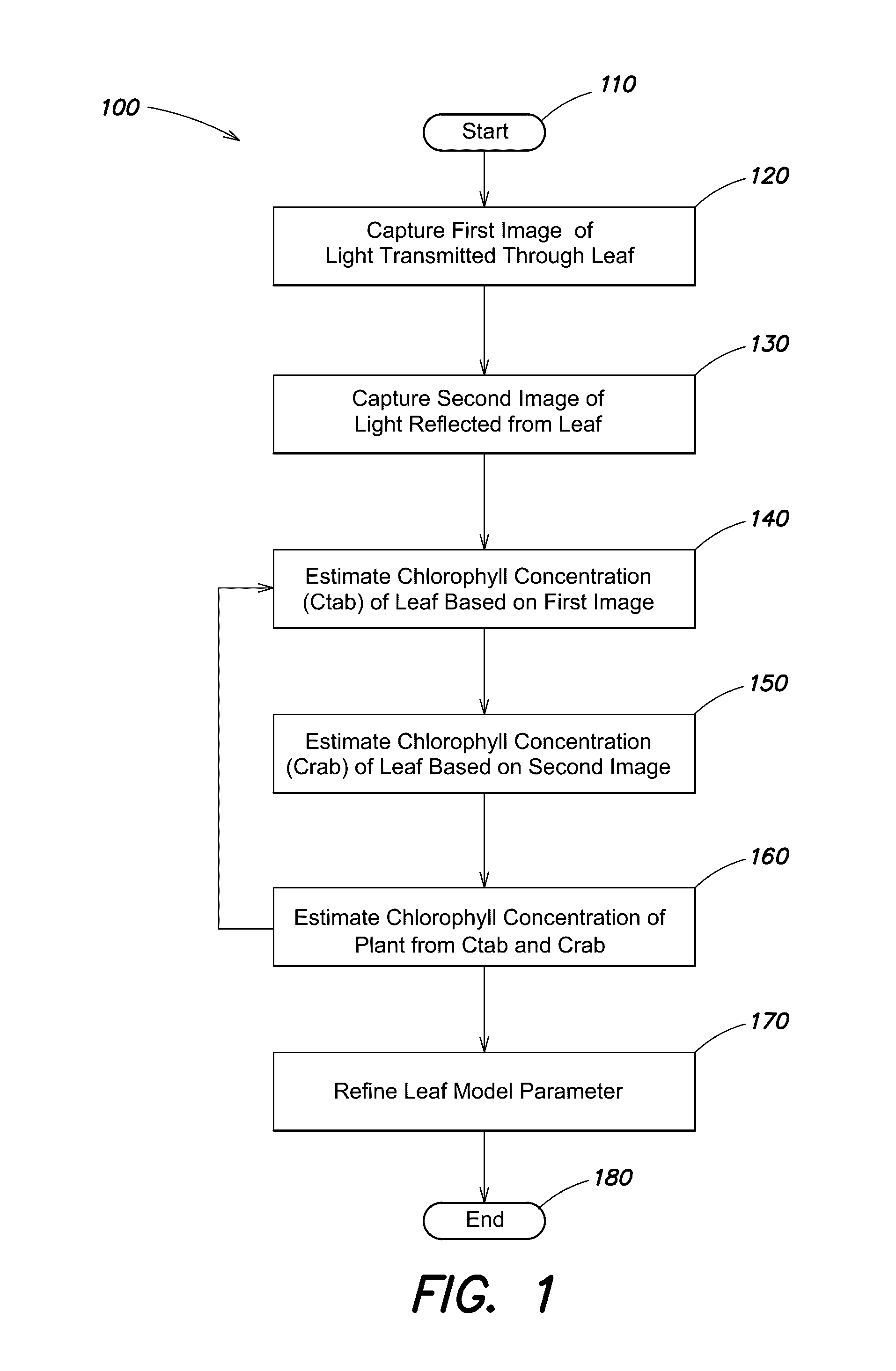 Apparatus and processes for photosynthetic activity measurement and mapping