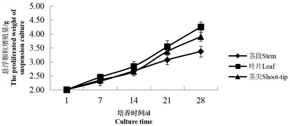 Method for obtaining fusarium oxysporum resistant carnation clone