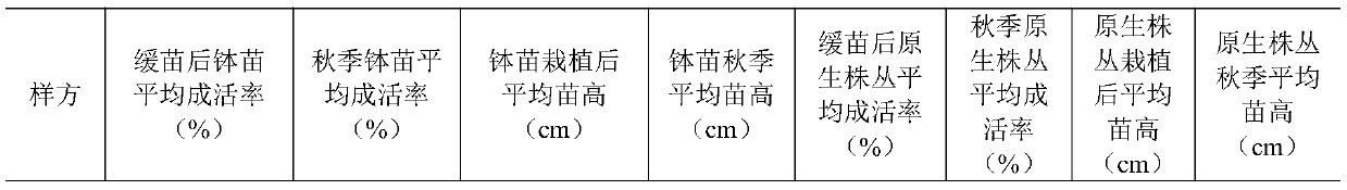 Vaccinium uliginosum natural forest improvement and transformation method