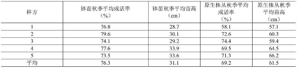 Vaccinium uliginosum natural forest improvement and transformation method