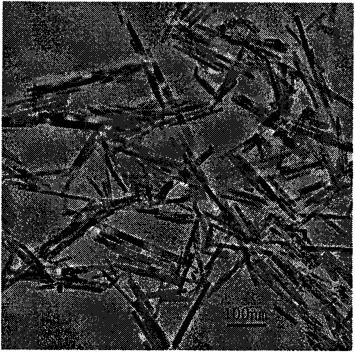 Method for preparing perovskite structure lead titanate monocrystal nano rod