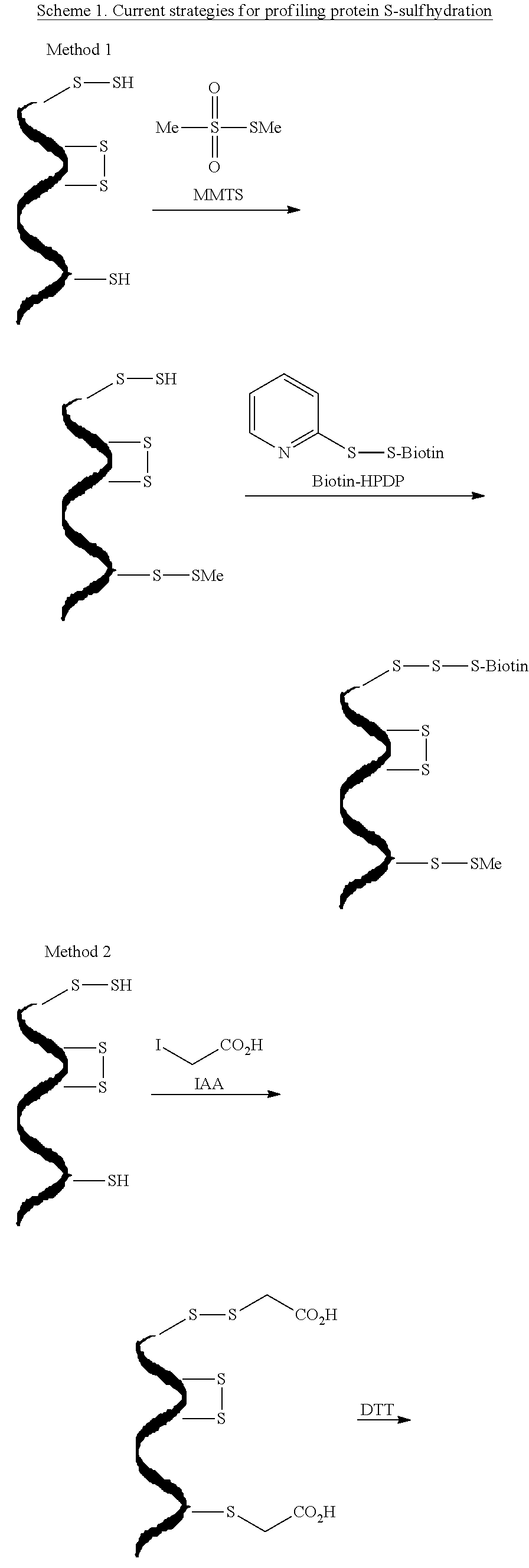 Detection of protein s-sulfhydration via a tag-switch technique