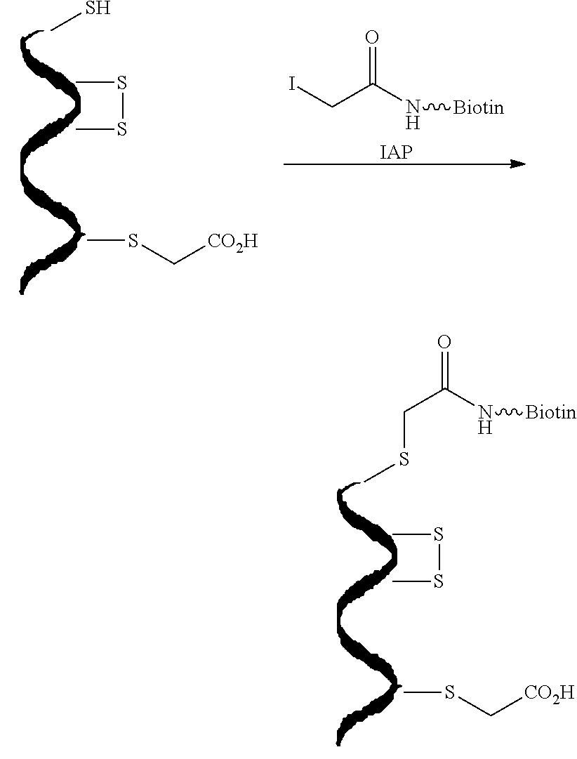 Detection of protein s-sulfhydration via a tag-switch technique