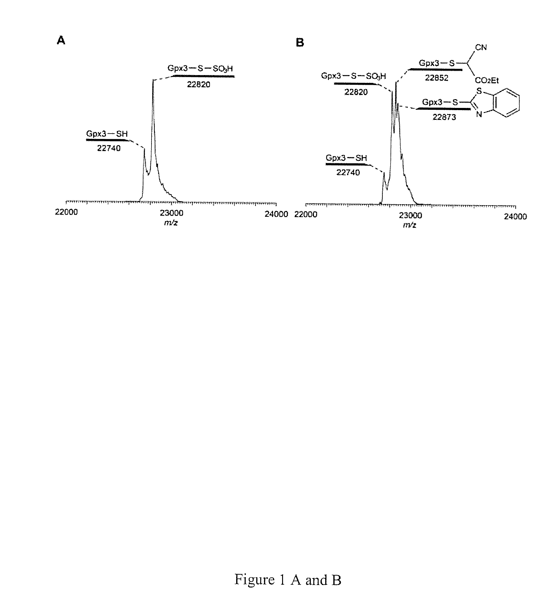 Detection of protein s-sulfhydration via a tag-switch technique