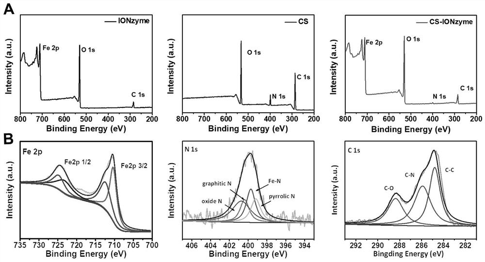 A kind of chitosan-modified nano-enzyme mucosal immune adjuvant and influenza mucosal vaccine and preparation method thereof