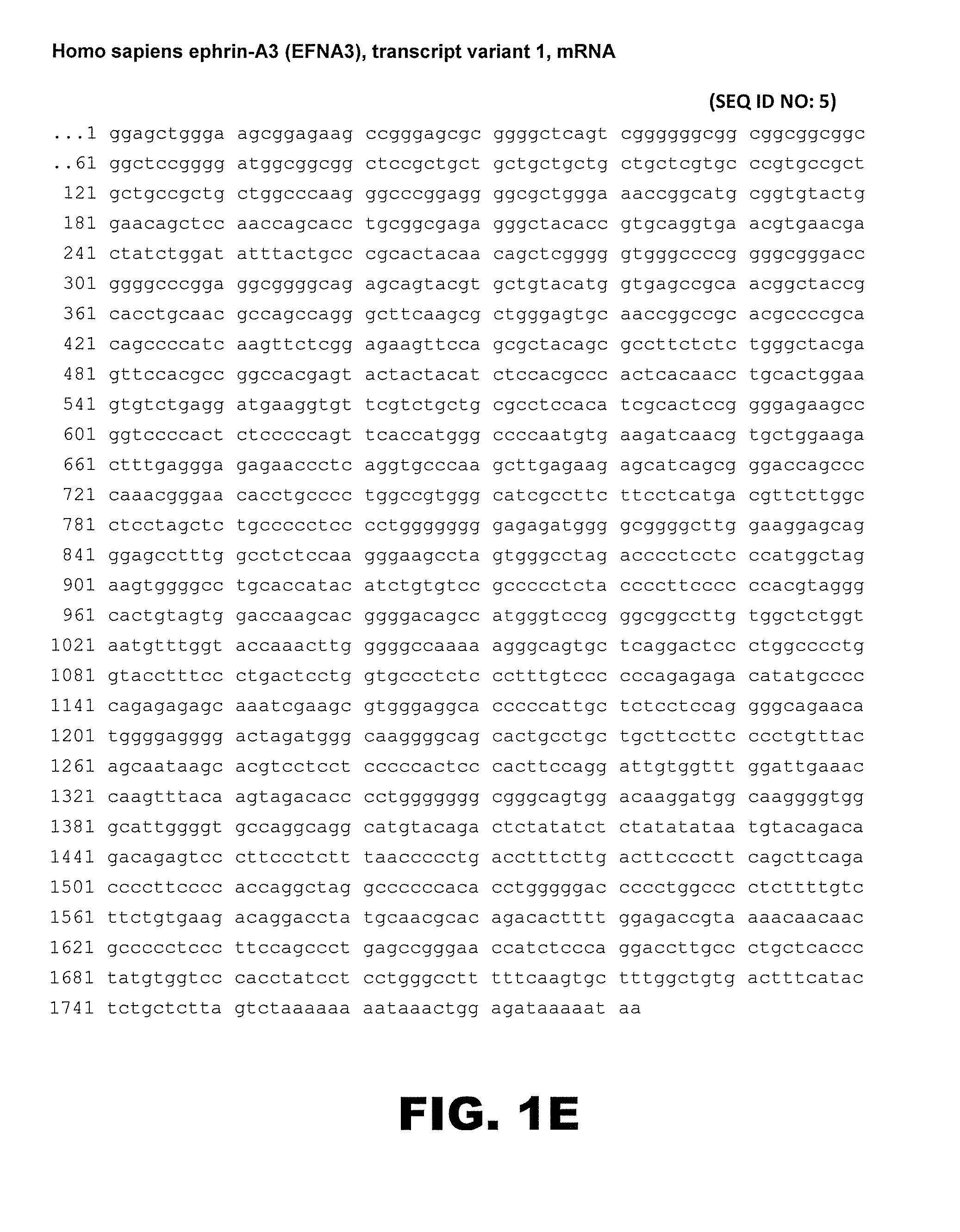 Novel modulators and methods of use