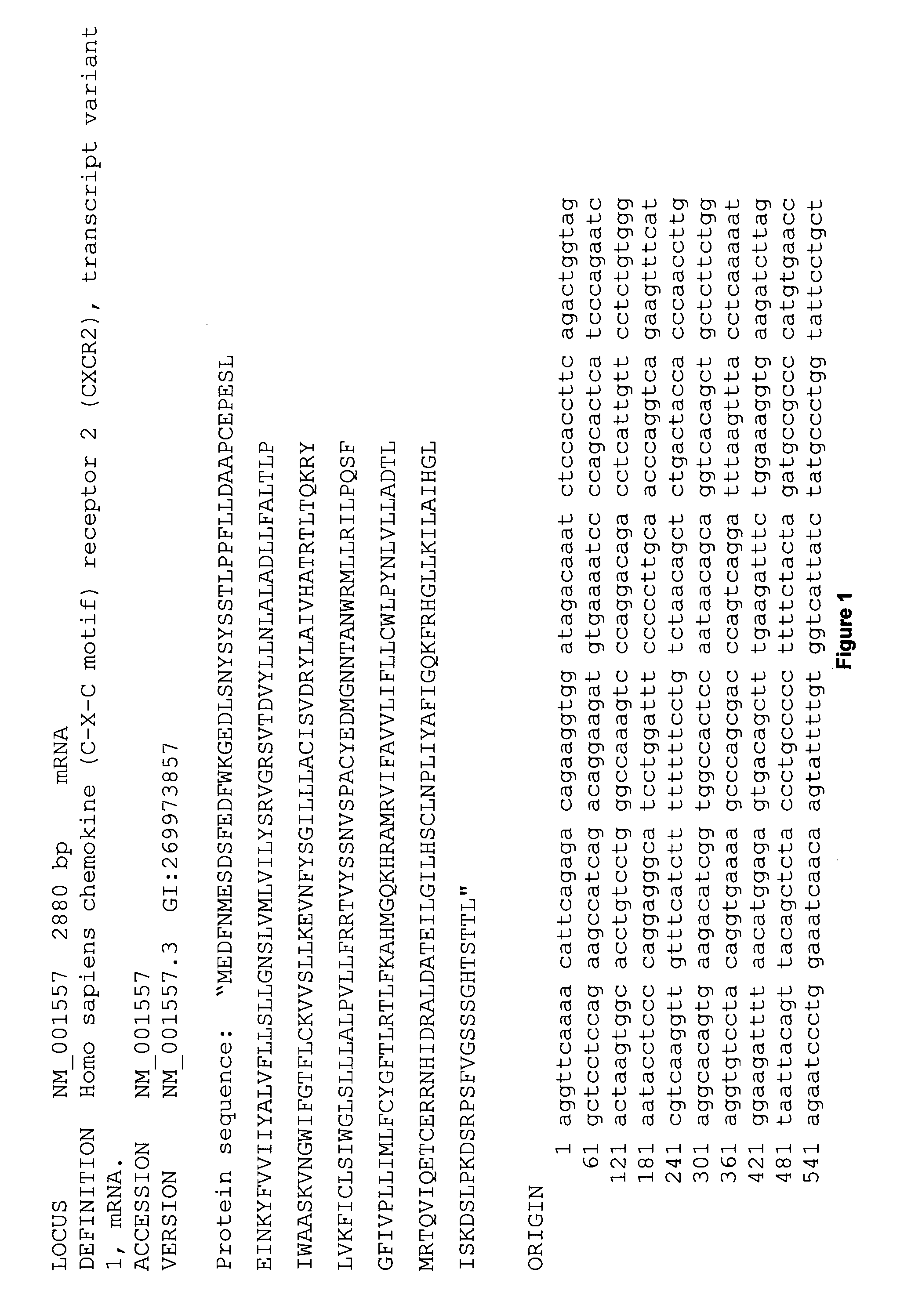 Novel marker for detection of bladder cancer and/or inflammatory conditions of the bladder