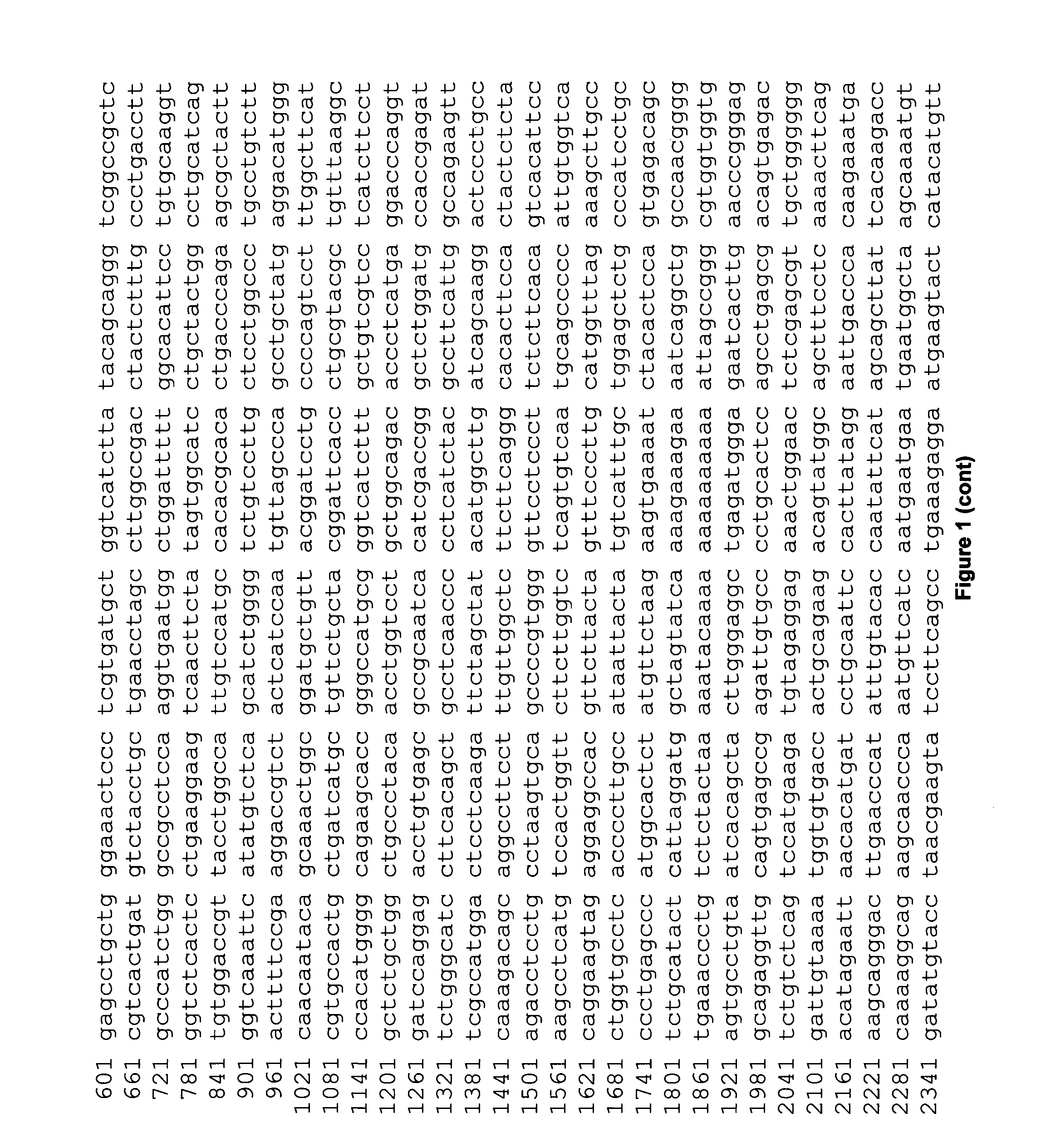 Novel marker for detection of bladder cancer and/or inflammatory conditions of the bladder