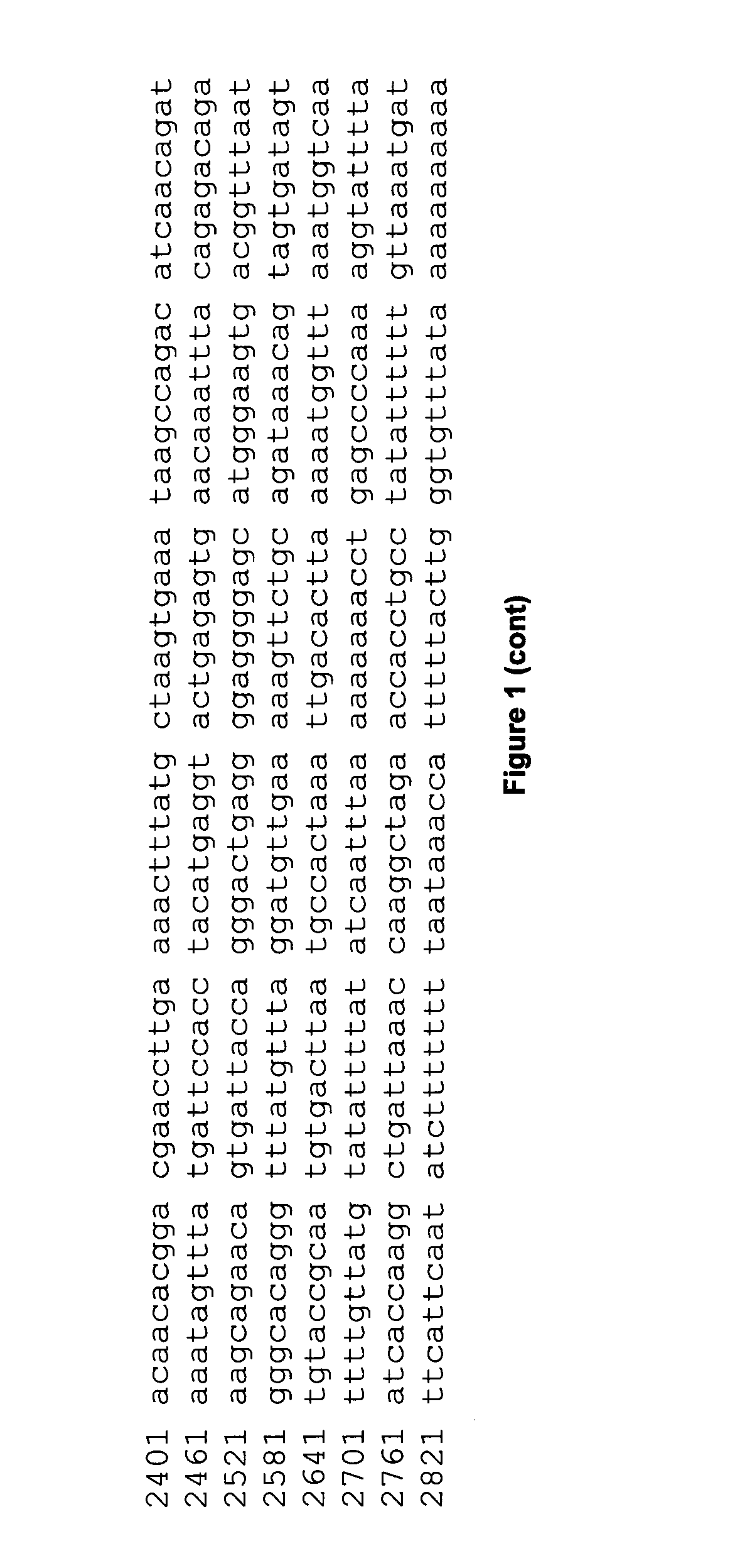 Novel marker for detection of bladder cancer and/or inflammatory conditions of the bladder