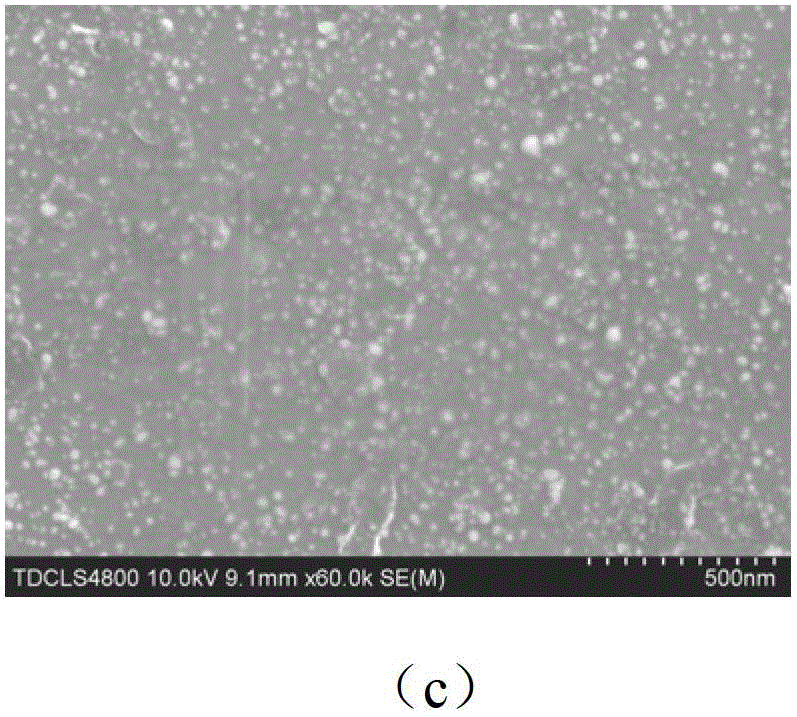 Dopamine-nanosilver composite coating and preparation method thereof