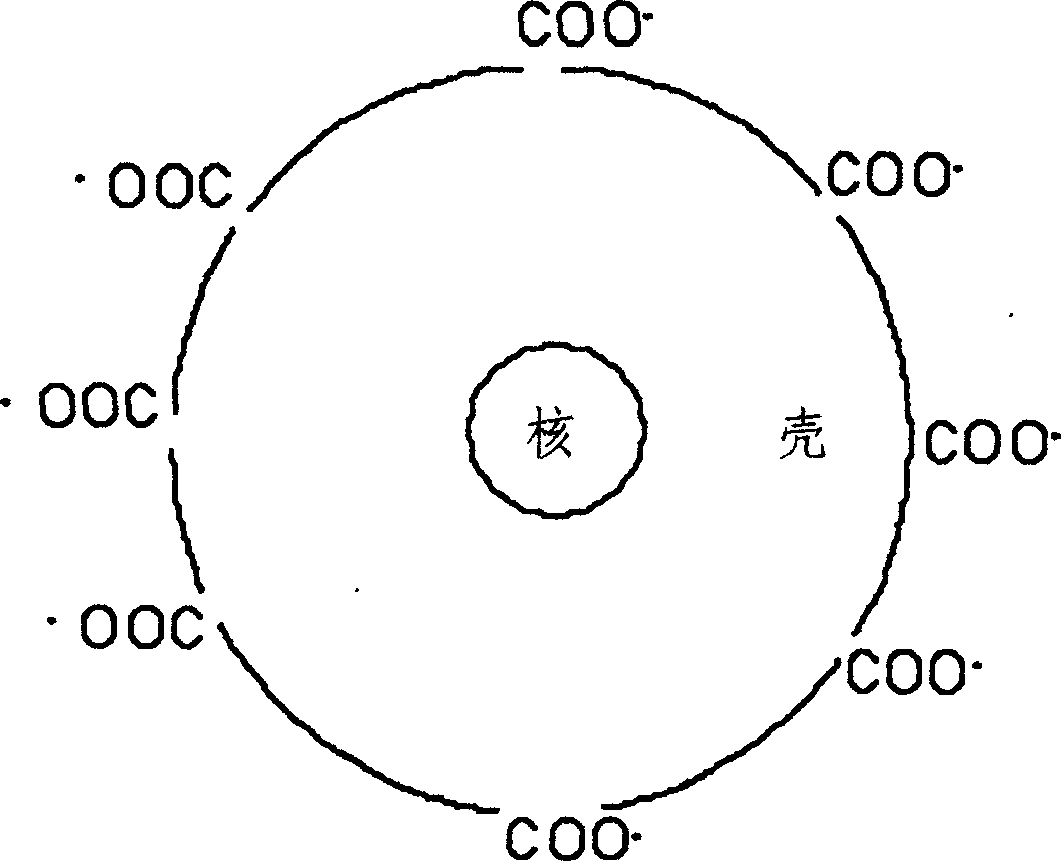 Water-base magnetic liquid and producing method thereof