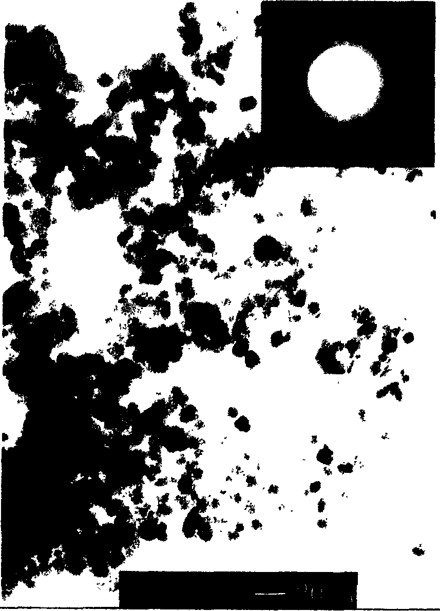 Water-base magnetic liquid and producing method thereof