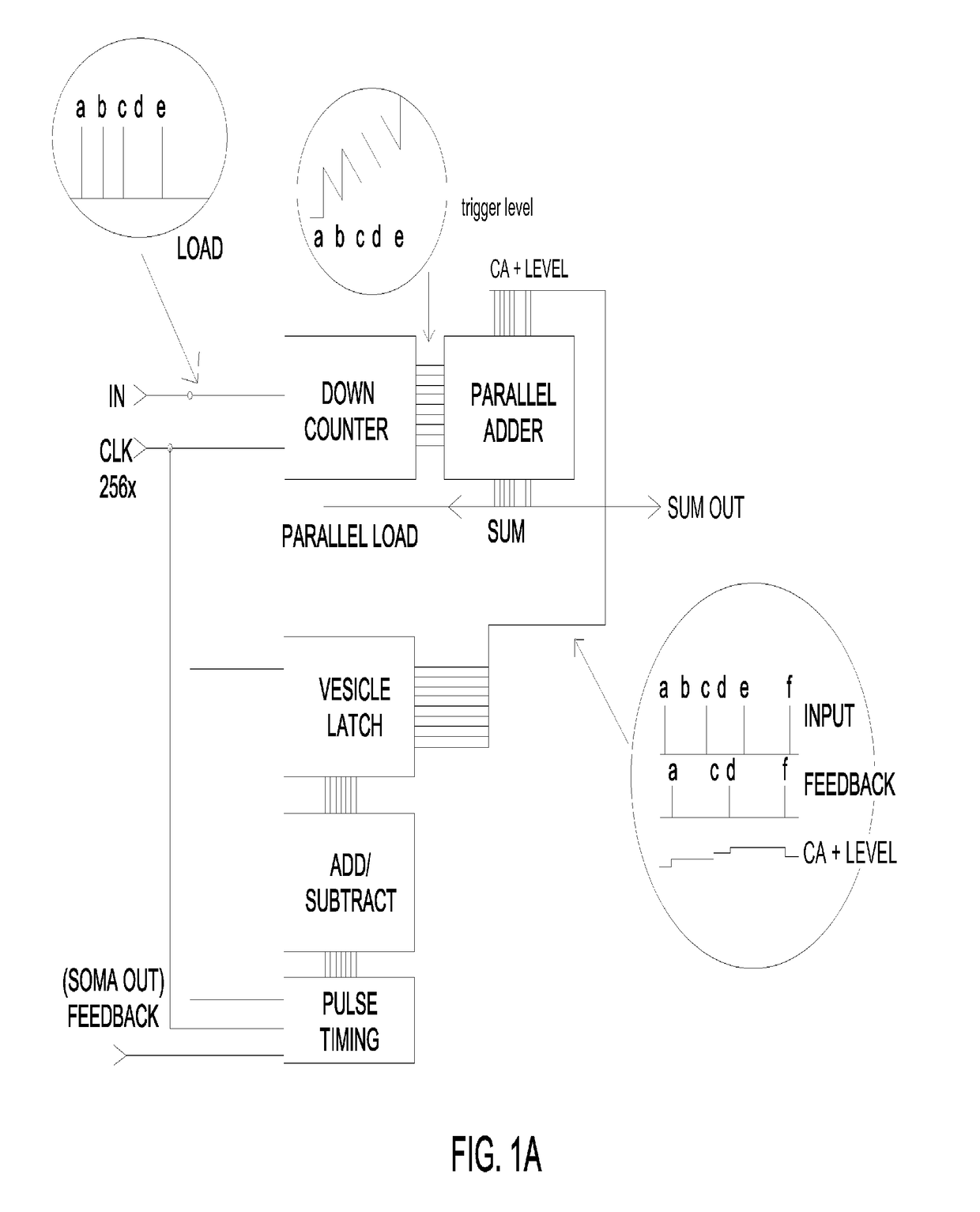 Method and A System for Creating Dynamic Neural Function Libraries