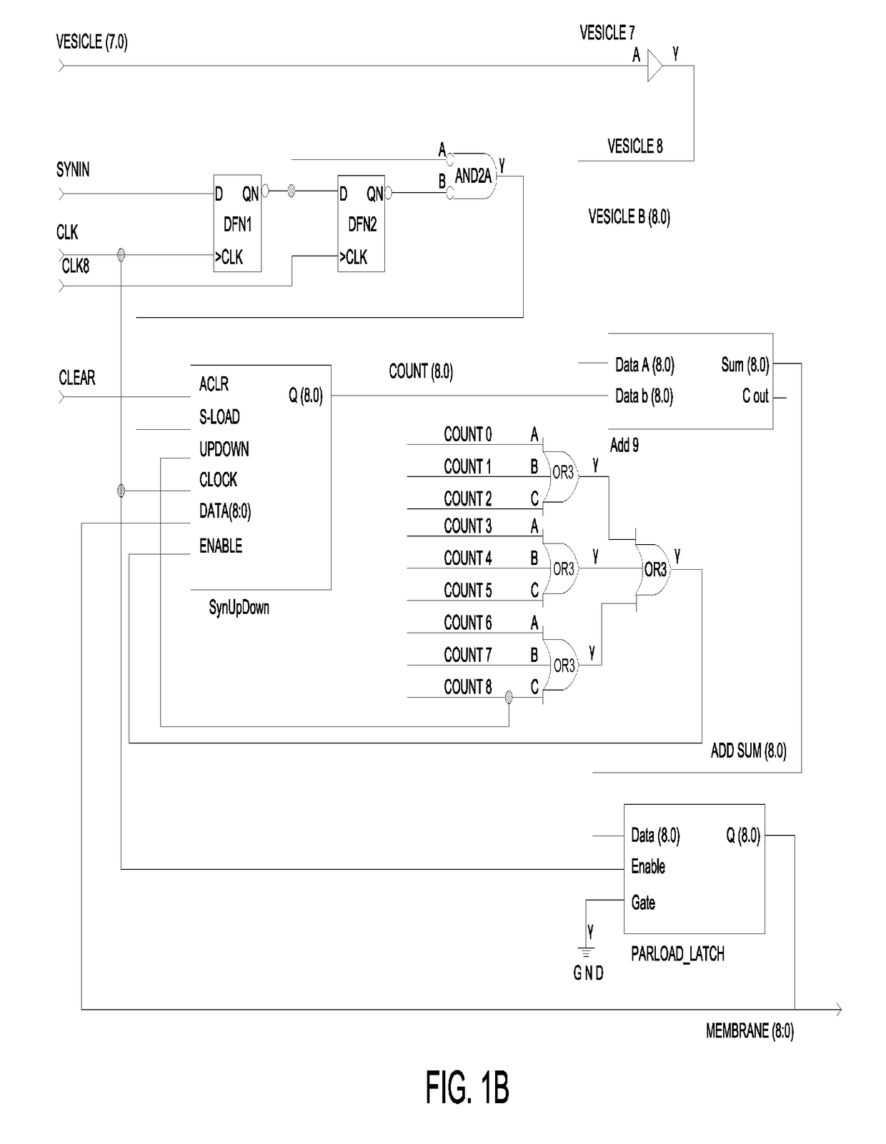 Method and A System for Creating Dynamic Neural Function Libraries