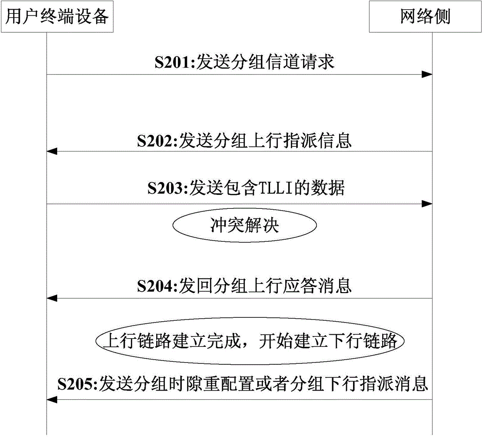Downlink data access and transmission method and apparatus